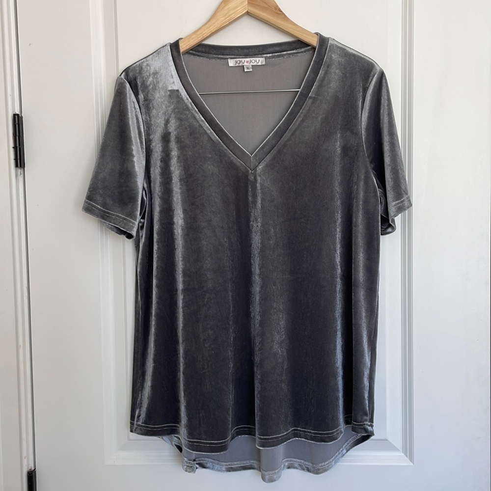 Joy Joy Women’s V-neck Short Sleeve Velvet Top Metallic Grey XL